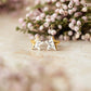 Star Stud & Mini Star