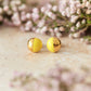 Gold Dipped Eden Stud - various colours